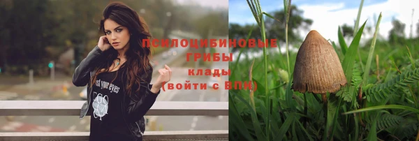 первитин Белоозёрский