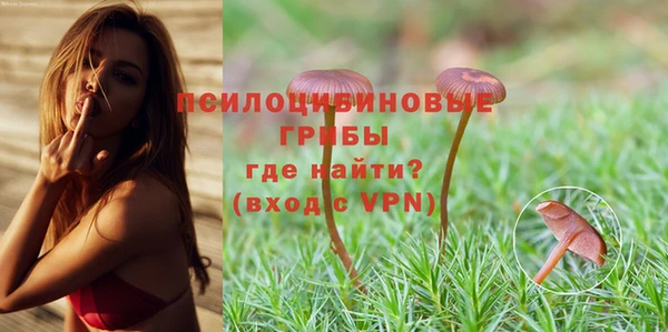 первитин Белоозёрский