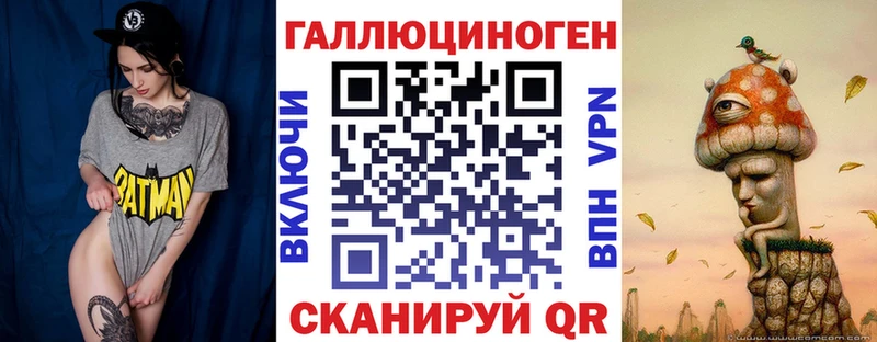 Купить  Кропоткин  Галлюциногенные грибы Psilocybine cubensis 